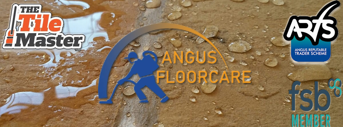 tile master cleaning